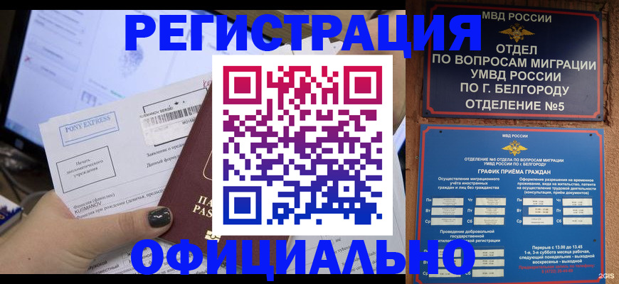 прописка для кредита в Рошале